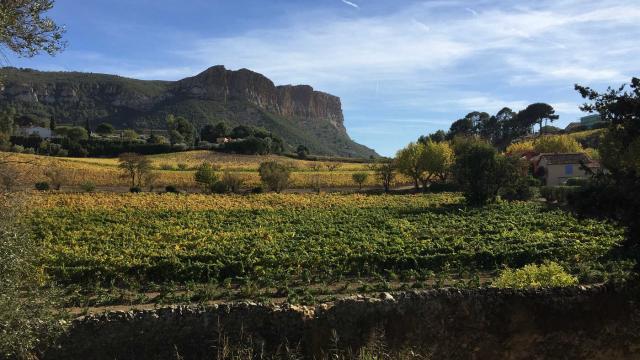 calanques-randonneemarseillecassis-vignobles-mdiduca.jpg