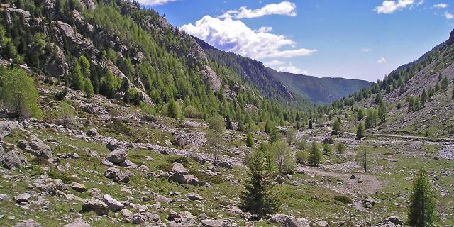 La Gordolasque est un torrent prenant sa source dans le lac de la Fous (2 210 m), en contrebas du refuge de la Federation francaise des clubs alpins et de montagne de Nice. Le lac de la Fous est alimente par les lacs : Long, du Mont Clapier, et Nire. Avant d'atteindre les premieres habitations, ce sont les eaux du lac Autier qui viendront alimenter la Gordolasque, sous les cimes de l'Estrech. D'une longueur de 18.7 Km, il passe au beau milieu de deux hameaux, Les Clots et Saint-Gratien. Le torrent passe a proximite de Belvedere avant de se jeter dans la Vesubie.Le lac de la Fous est exploite par EDF ; une conduite d'eau forcee part de l'ouvrage de retenue pour alimenter la turbine de la centrale au Countet, qui alimente la commune de Belvedere (1 613 m).Les lieux etant en partie contenus dans le perimetre du Parc national du Mercantour, la vallee est parfaitement conservee a l'etat naturel. Un des atouts de Belvedere, reside dans le fait d'etre la deuxieme porte d'acces vers la Parc, avec un acces privilegie sur la vallee des Merveilles.A quelques pas du terminus routier, on trouve un abri de berger en pierres seches. Dans les annees 1960, il a servi au tournage de la saison 1 de Belle et Sebastien, ou il est appele le refuge du Grand Baou. Le Grand Baou et la Demoiselle sont en realite les cimes de l'Estrech, visibles en haut a droite du cliche ci-contre.Au printemps 2009, Jean-Francois Amiguet a tourne un long metrage, Sauvage, avec Jean-Luc Bideau et Clementine Beaugrand. Ce film est egalement tourne aux alentours de l'abri en pierres seches. Il sortira a l'automne 2010.Au fil du temps laisse a l'abandon, l'abri accusait de nombreuses degradations d'origine naturelle (neige, vent...). La communaute de Belvedere a entierement fait renover le site, l'enjeu etant purement patrimonial. La vallee de la Gordolasque est une vallee glaciaire, affluent de la Vesubie et situee au dessus du village de BelvedereElle est bordee au Nord par la crete frontiere avec l'Italie et ses 3000m, a l'Est par la vallee des Merveilles et a l'Ouest par la vallee de la Madone des Fenestres.Source : Wikipedia.02185_LE COUNTET_FGUI.tif