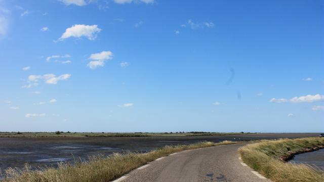 Ecotourisme Salin Camargue Paca Cchillio