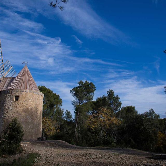 Moulin Daudet Fontvieille Borisv Ff130464161