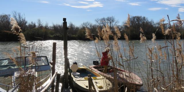 Portsaintlouisdurhone Maraisvigueirat Balade Pnrcamargue Paca Pnrc