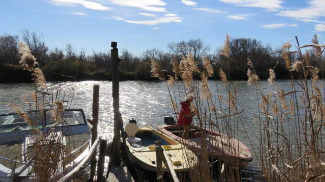 portsaintlouisdurhone-maraisvigueirat-balade-pnrcamargue-paca-pnrc.jpg