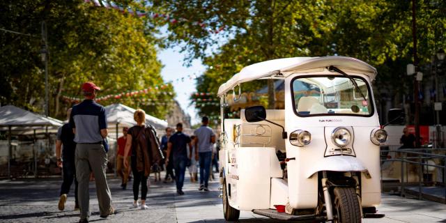 Street Food Avignon Provence