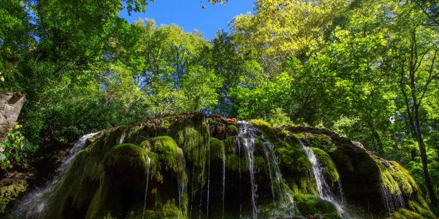 Arbre Cascade Foretgemenos Amouton