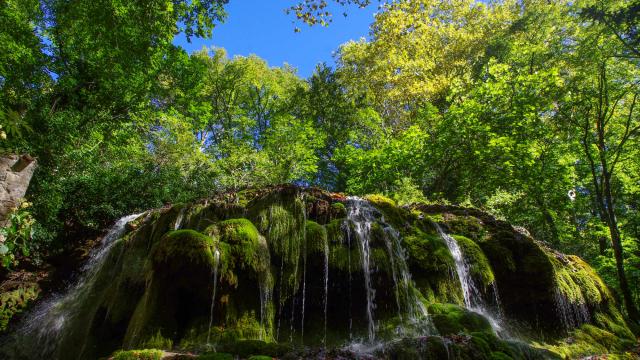 arbre-cascade-foretgemenos-amouton.jpg