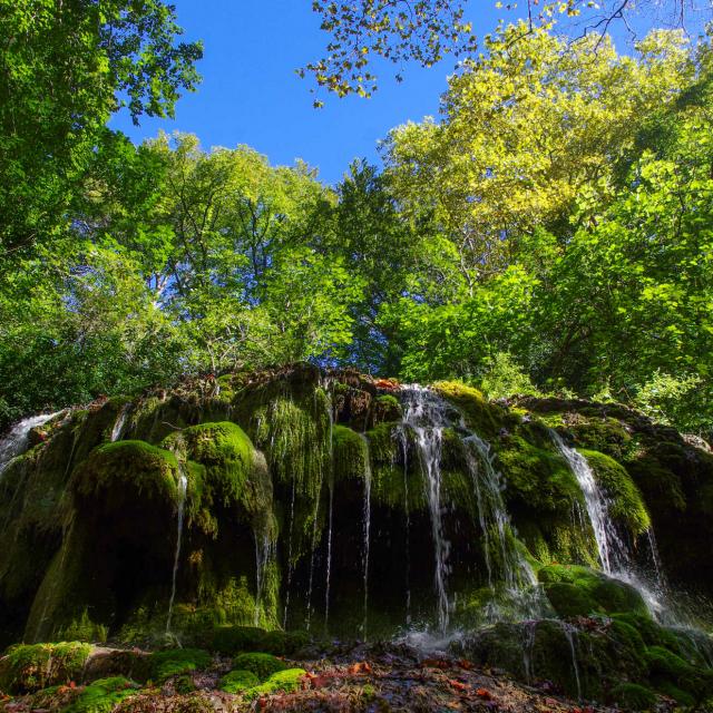 Arbre Cascade Foretgemenos Amouton