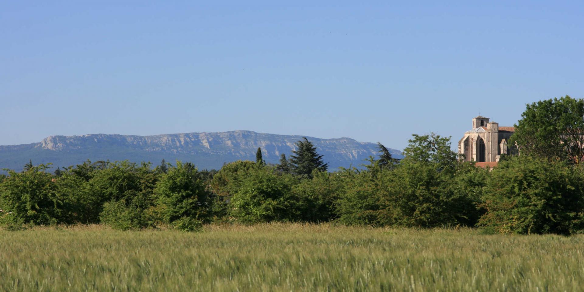 Basiliquestmaximin Pnrsaintebaume Audapascal