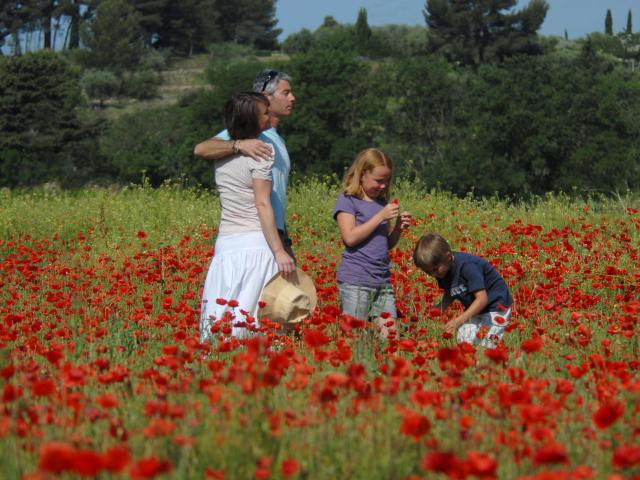 Fleur, printemps, famille, nature, balade