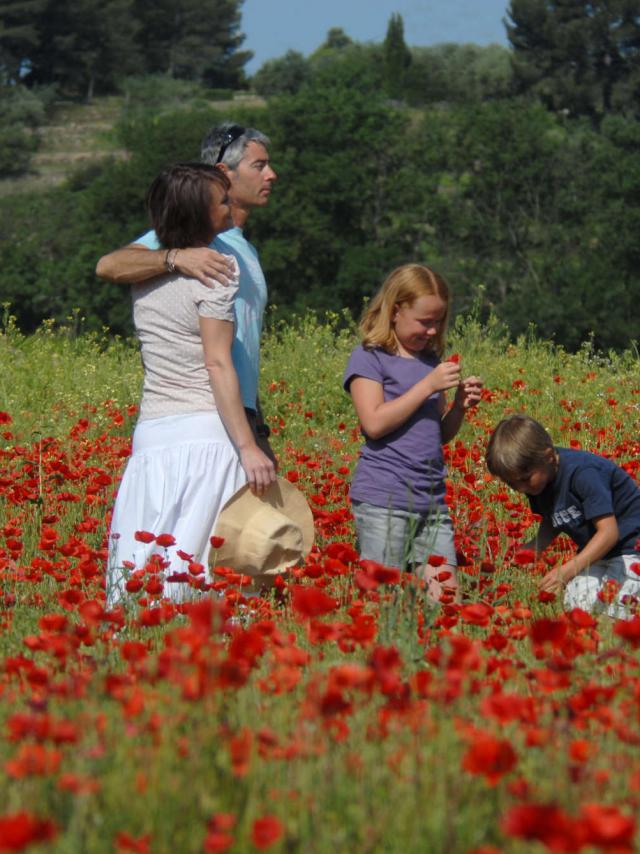 Fleur, printemps, famille, nature, balade