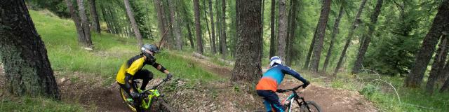 Descente en VTT entre amis en forêt dans la station de Valberg