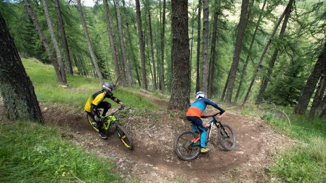 Descente en VTT entre amis en forêt dans la station de Valberg