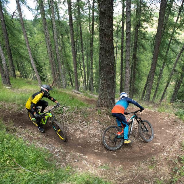 Descente en VTT entre amis en forêt dans la station de Valberg