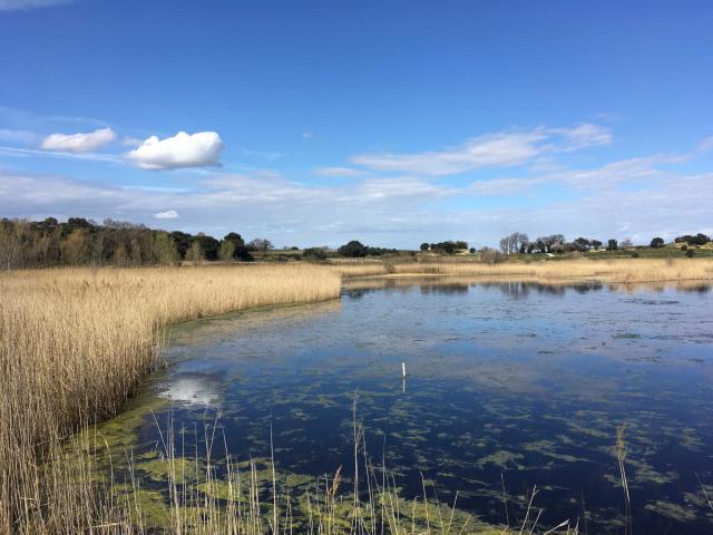 etang-sale-courthezon-departementvaucluse.jpg