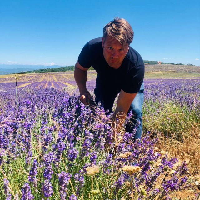 jack-lincele-lavande-luberon-provence-mila-musee-de-la-lavande-luberon.jpg