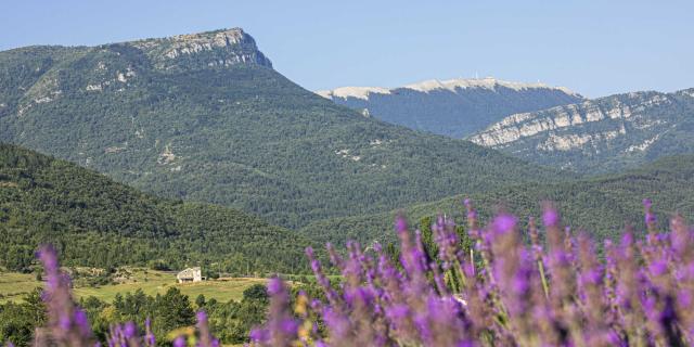 Montagne de Lure