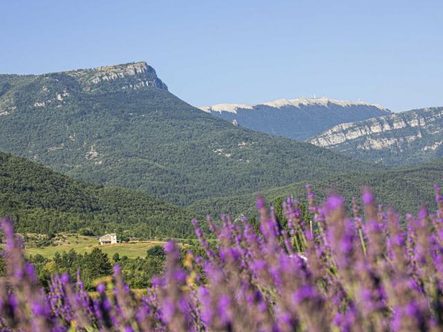 Montagne de Lure