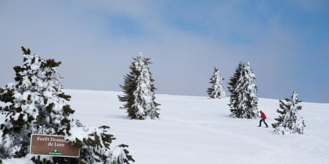 Station de la Montagne De Lure en raquettes