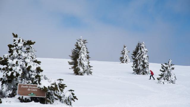 Station de la Montagne De Lure en raquettes