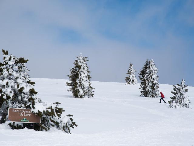 Station de la Montagne De Lure en raquettes