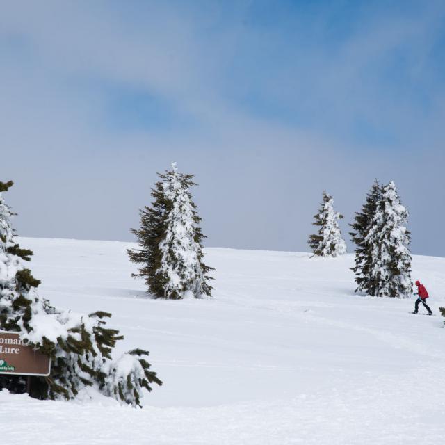 Station de la Montagne De Lure en raquettes