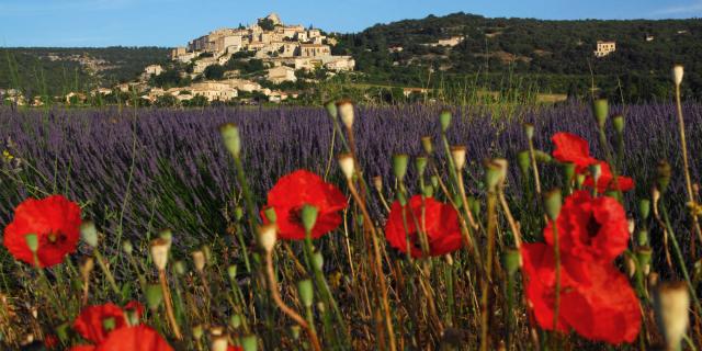 simiane-la-rotonde-provence-ad04-pleroux.jpg