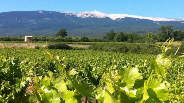 smaemv-sejour4saisons-montventoux-vbiset-montventoux-vpa.jpg