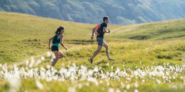 Trail Provence Alpes Cote Dazur