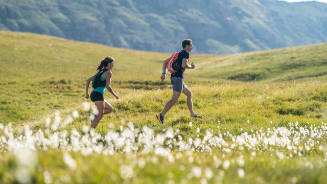 Trail Provence Alpes Cote Dazur