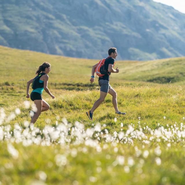 Trail Provence Alpes Cote Dazur