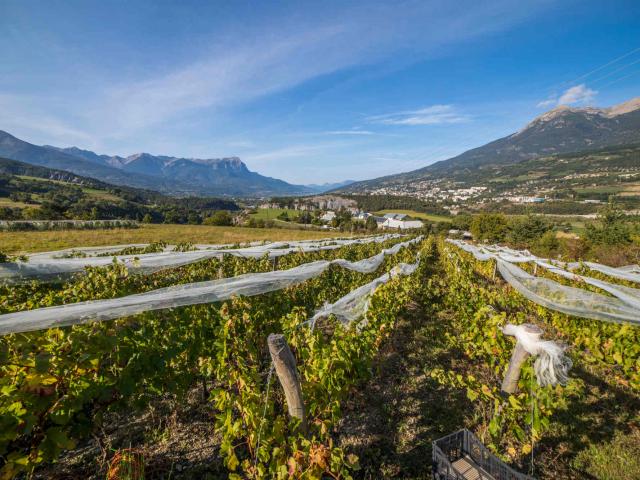 Angela et Maxime - Hautes-Alpes