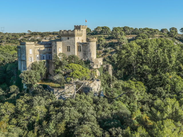 Rocher Mistral Chateau De La Barben 1