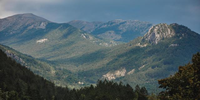 The Southern Alps