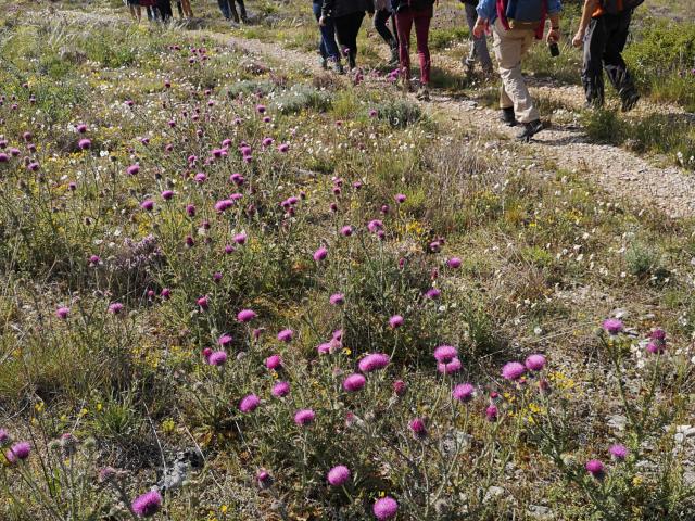 Eductour Sentier Des Cueilleurs A.joly