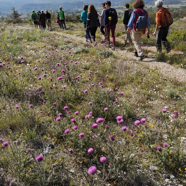 Sentier des Cueilleurs