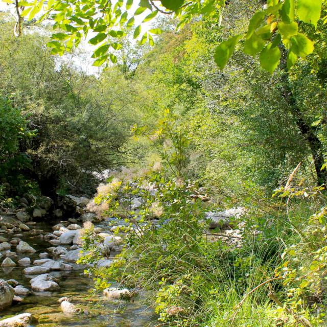 Gorges du Loup, Gréolières, Parc naturel régional des Préalpes D'Azur