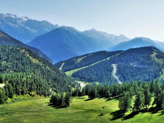 Vue panoramique sur La Colmina en été