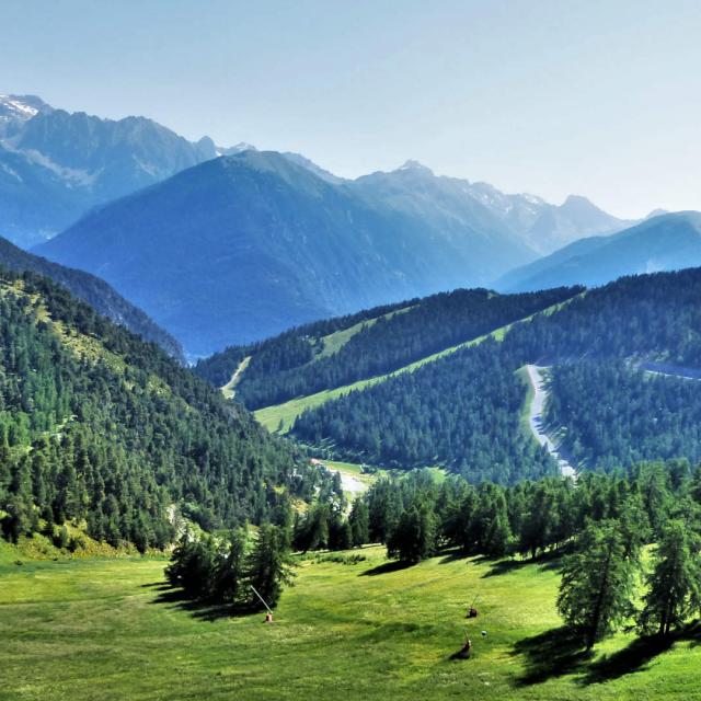 Vue panoramique sur La Colmina en été