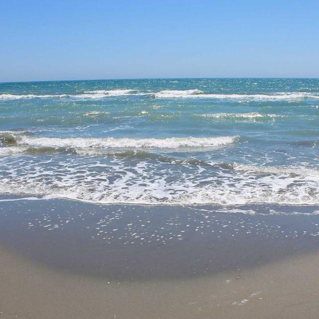 Plage Saintes Maries De La Mer C.chillio