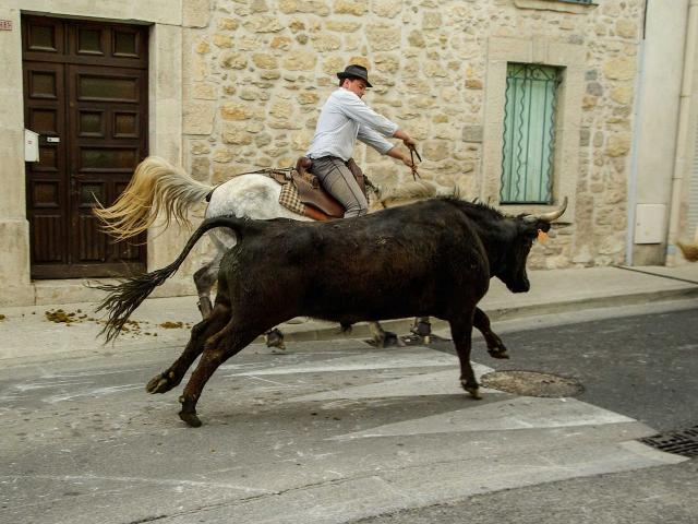 traditions-camargue.jpg