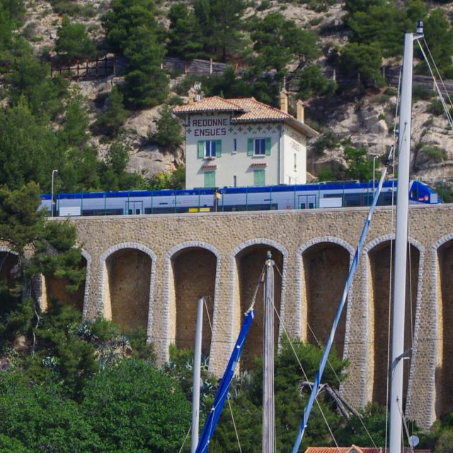 train-cote-bleue-mouton.jpg