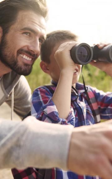 Provence-Alpes-Côte d’Azur Tourisme – Comité Régional de Tourisme