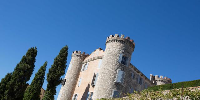 chateau-saint-martin-de-pallieres-provence.jpg