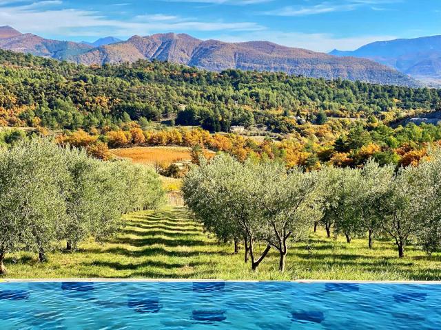 domaine-des-bergeries-de-haute-provence-piscine.jpg