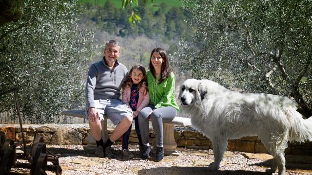 Domaines Des Bergeries