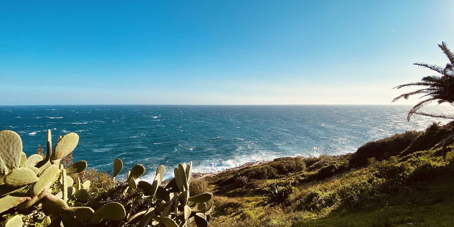 Vue sur mer à Saint Jean Cap Ferrat