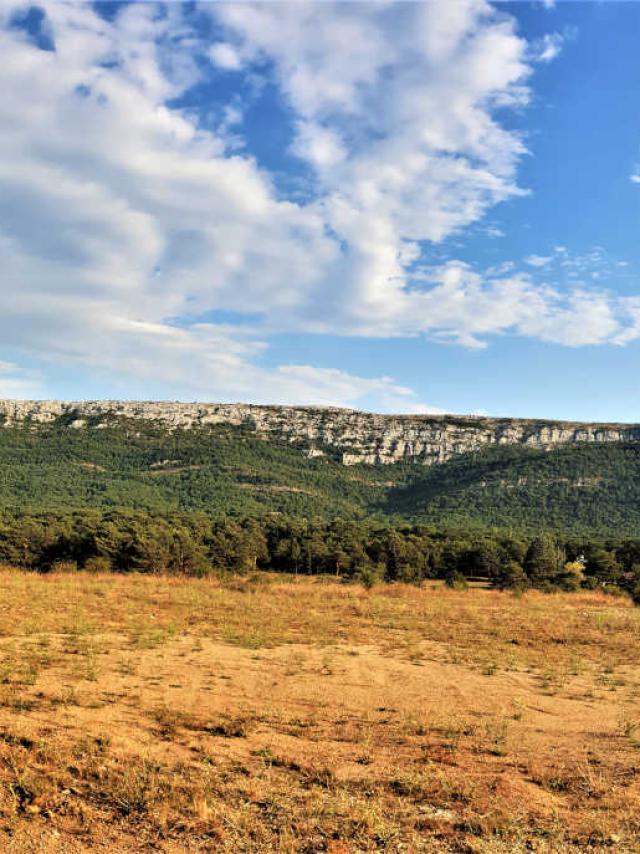 Sainte Baume Provence J.auray