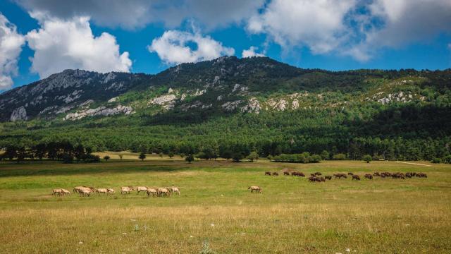 Site of the monts d'azur biological reserve