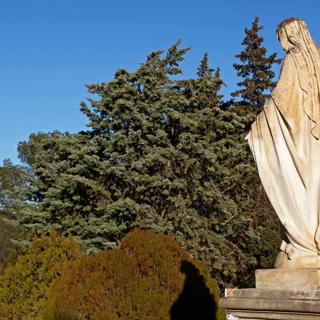 Abbaye Saint Michel De Frigolet