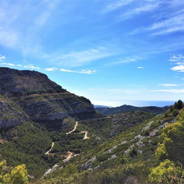 Calanques Marseille Provence M.diduca