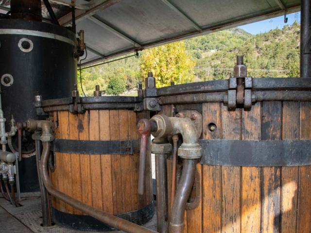 La distillerie Lachanence située à Méolans-Revel est une entreprise familiale. Tous les produits sont labellisés Bio. Les principaux produits sont le limoncello, le génépi, le gin, le wisky et le pastis. La gamme s'étend également à d'autres liqueurs, framboise, myrtille, thym